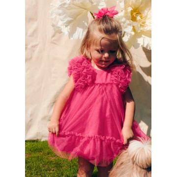 Baby Fuschia Tulle Dress