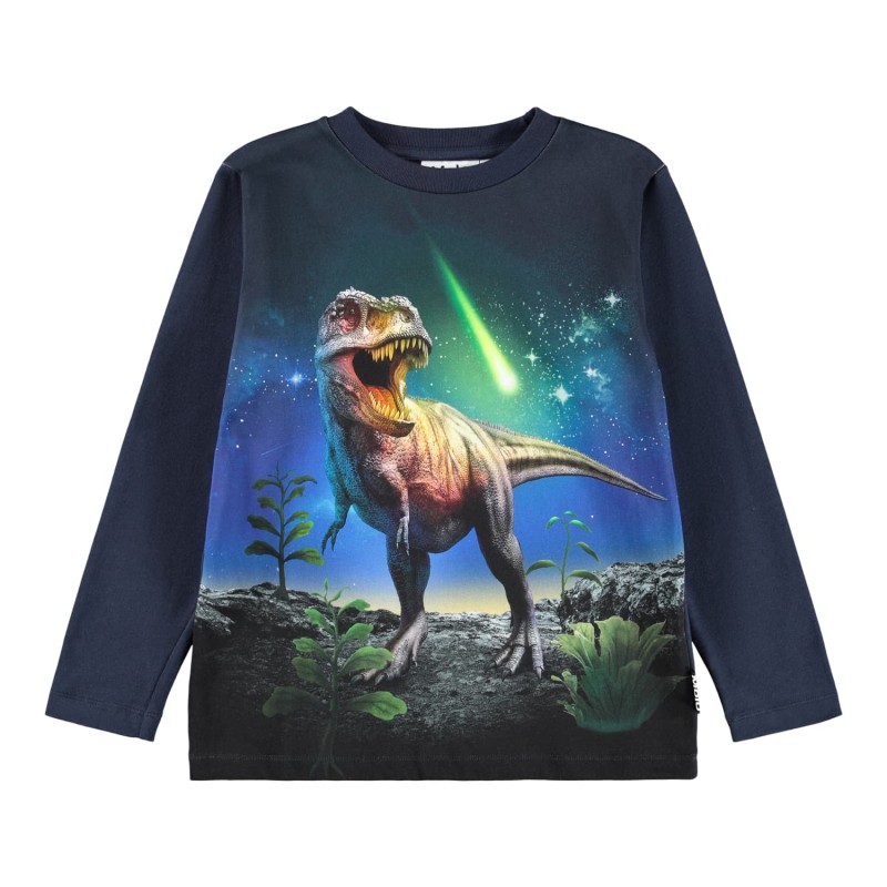 Reif Meteor Dino