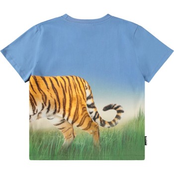 Molo Riley Μπλε Μπλουζάκι Με Τίγρη