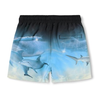 Molo Niko Μπλε Μαγιό Με Ψάρια