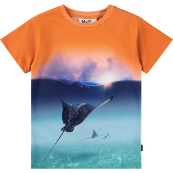 Molo Riley Μπλε Μπλουζάκι Με Σαλάχι