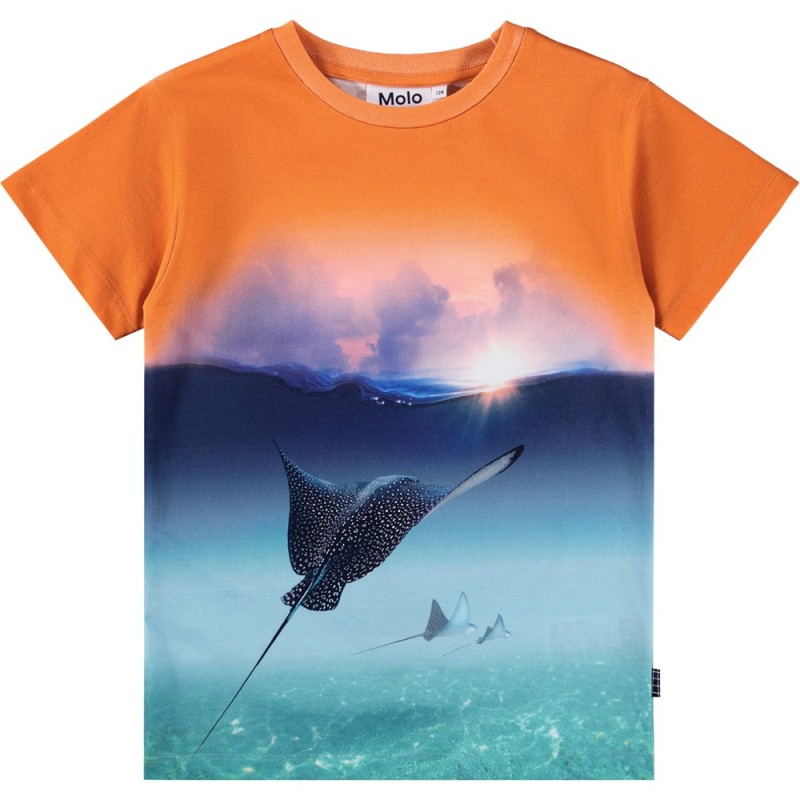 Molo Riley Μπλε Μπλουζάκι Με Σαλάχι