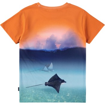 Molo Riley Μπλε Μπλουζάκι Με Σαλάχι