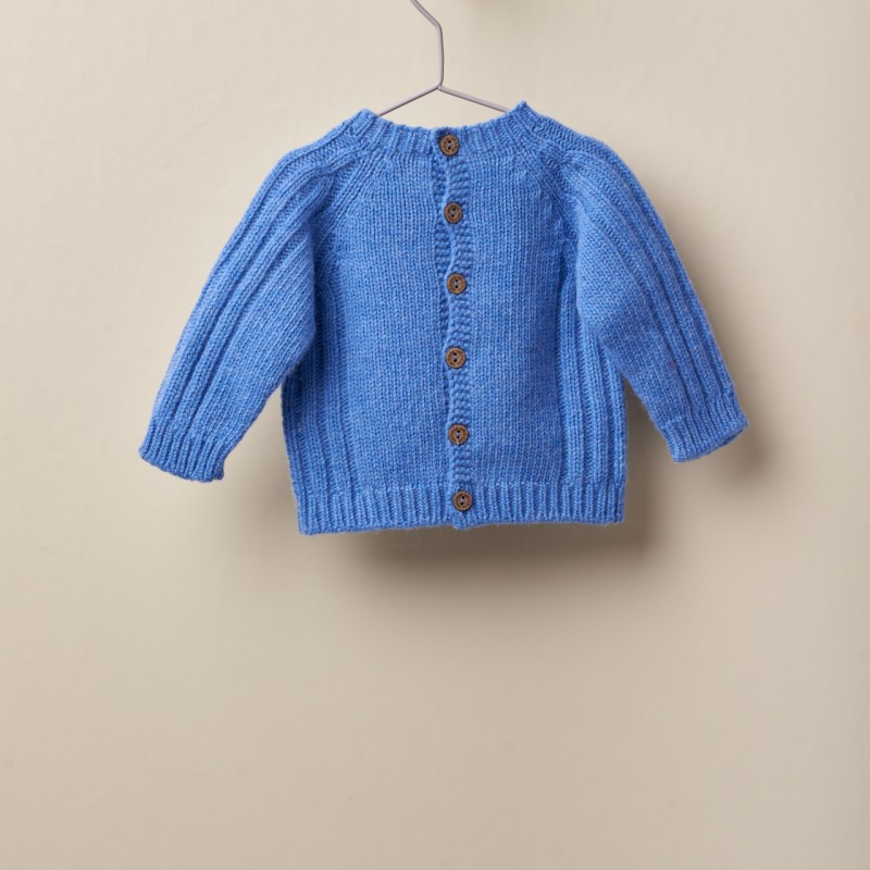 Παιδικό Γαλάζιο Πουλόβερ Με Δεινόσαυρο